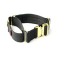 Load image into Gallery viewer, 2" Luxe Martingale Dog Collar - Gold Noir
