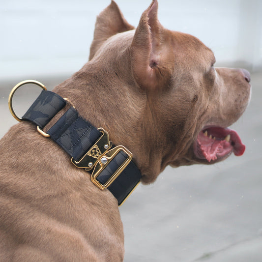 2" Luxe Martingale Dog Collar - Gold Camo