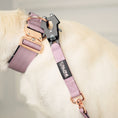 Load image into Gallery viewer, 2" Tacti Luxe Dog Collar - Rose Gold - Sofia
