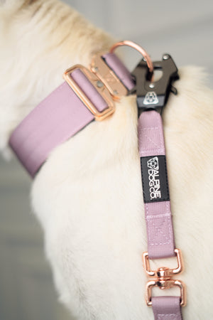 
                  
                    Load image into Gallery viewer, Tacti Luxe Dog Leash - Sofia
                  
                