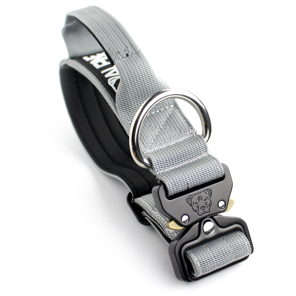 
                  
                    Load image into Gallery viewer, 1.5&amp;quot; Tacti Slim Dog Collar - Graphite
                  
                