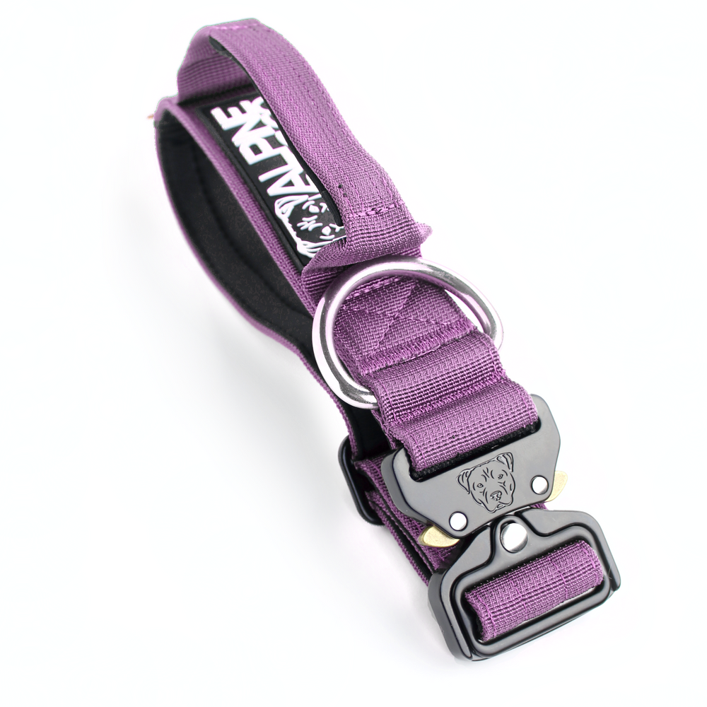 
                  
                    Load image into Gallery viewer, 1.5&amp;quot; Tacti Slim Dog Collar - Grape
                  
                