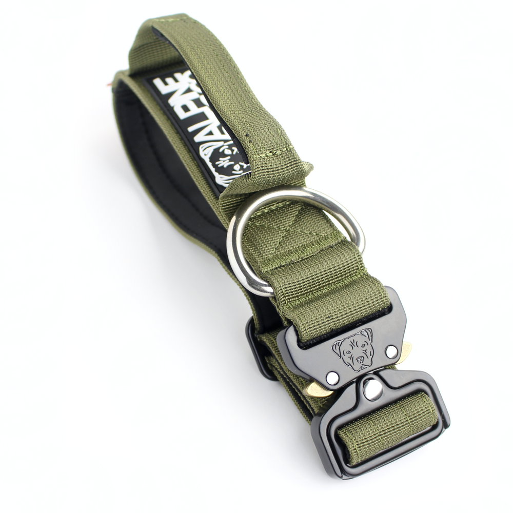 
                  
                    Load image into Gallery viewer, 1.5&amp;quot; Tacti Slim Dog Collar - Olive
                  
                