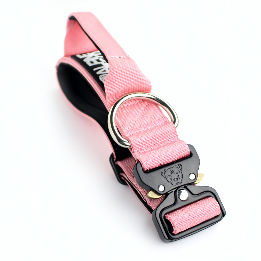 
                  
                    Load image into Gallery viewer, 1.5&amp;quot; Tacti Slim Dog Collar - Rose
                  
                