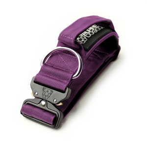 
                  
                    Load image into Gallery viewer, 2&amp;quot; Tactik Dog Collar - Grape
                  
                