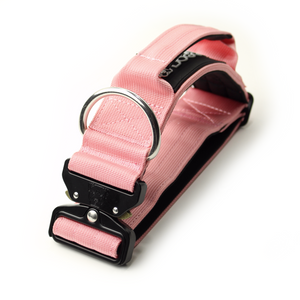 
                  
                    Load image into Gallery viewer, 2&amp;quot; Tactik Dog Collar - Rose
                  
                