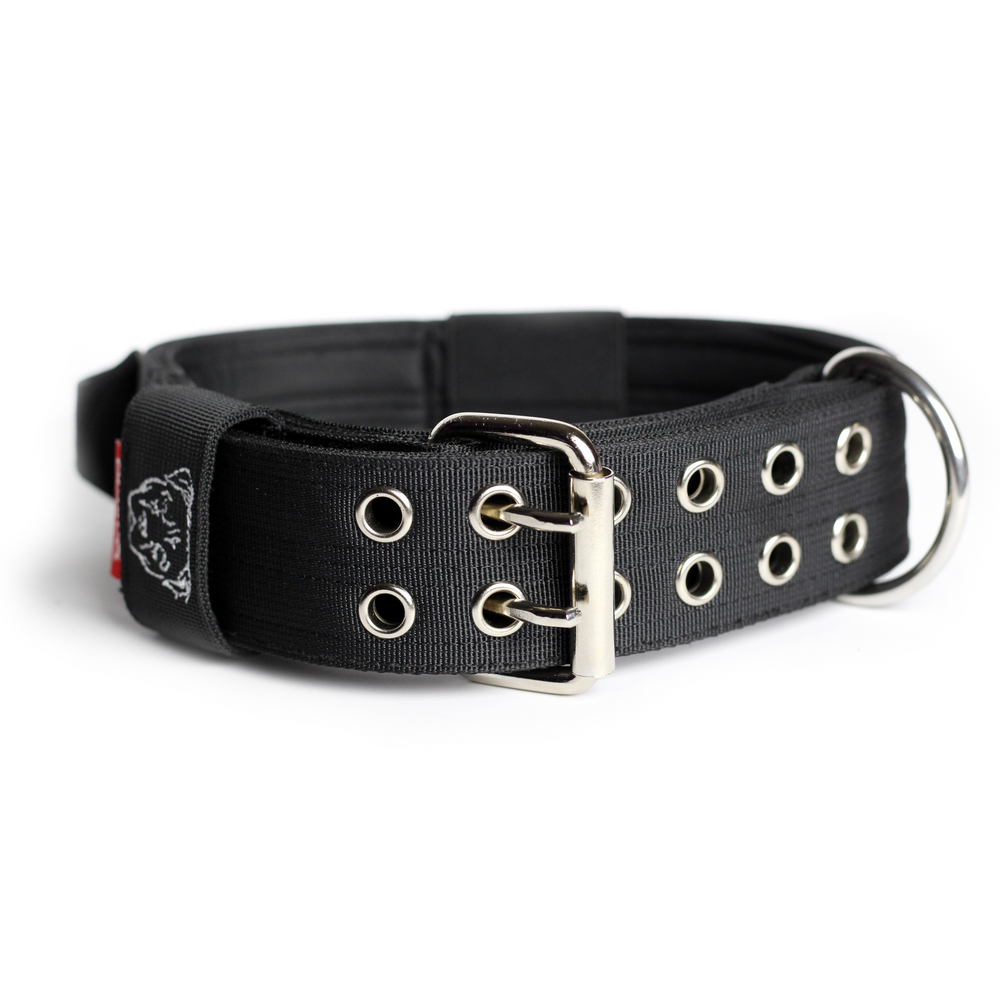 Expedition Dog Collar - Black