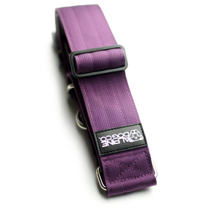 
                  
                    Load image into Gallery viewer, 2&amp;quot; Martingale Dog Collar - Grape
                  
                
