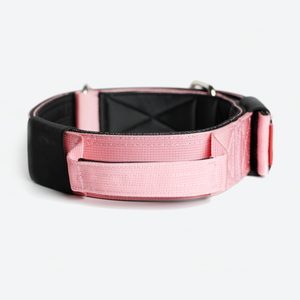 
                  
                    Load image into Gallery viewer, Expedition Dog Collar - Rose
                  
                