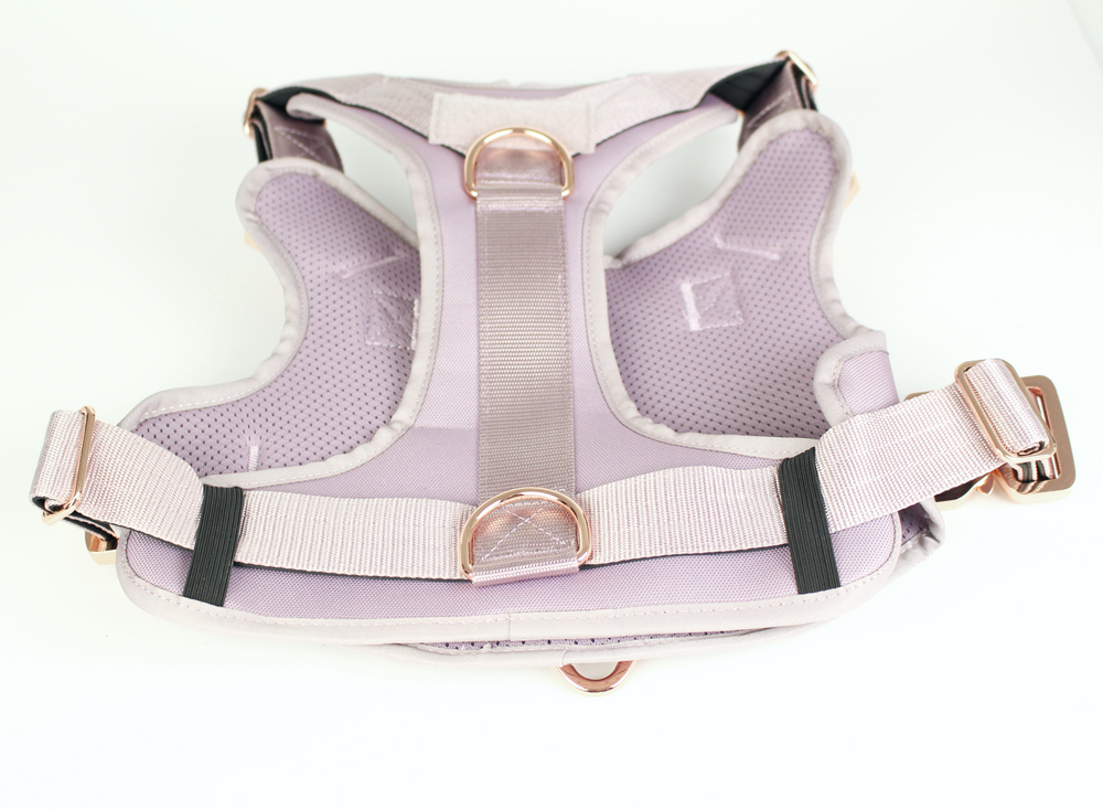 
                  
                    Load image into Gallery viewer, HNTR 3.0 Dog Harness - Sofia
                  
                