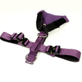 Load image into Gallery viewer, Terrain Dog Airtag Harness - Grape
