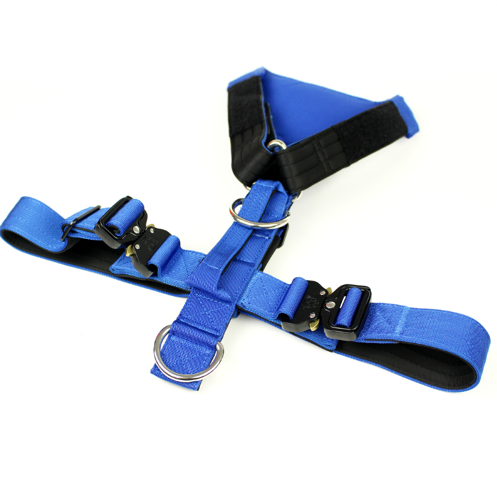 
                  
                    Load image into Gallery viewer, Terrain Dog Airtag Harness - Cobalt
                  
                