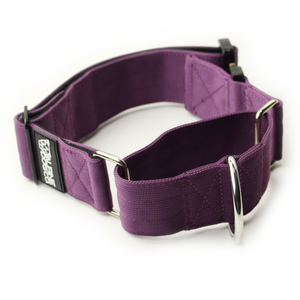 
                  
                    Load image into Gallery viewer, 2&amp;quot; Martingale Dog Collar - Grape
                  
                