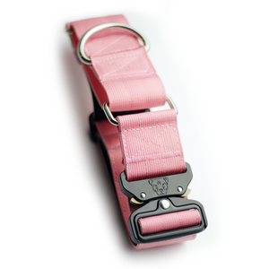 
                  
                    Load image into Gallery viewer, 2&amp;quot; Martingale Dog Collar - Rose
                  
                