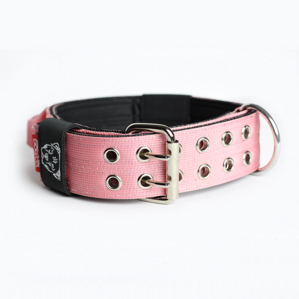 
                  
                    Load image into Gallery viewer, Expedition Dog Collar - Rose
                  
                