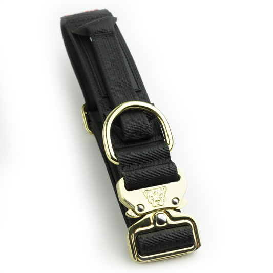 1.5" Tacti Dog Collar Slim Luxe - Gold - Noir