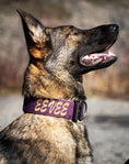 Load image into Gallery viewer, 2" Tactik Dog Collar - Grape
