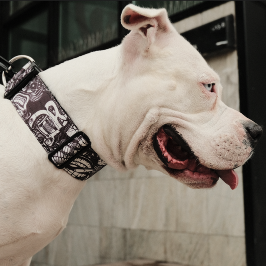 2" Tactik Dog Collar - Tattoo