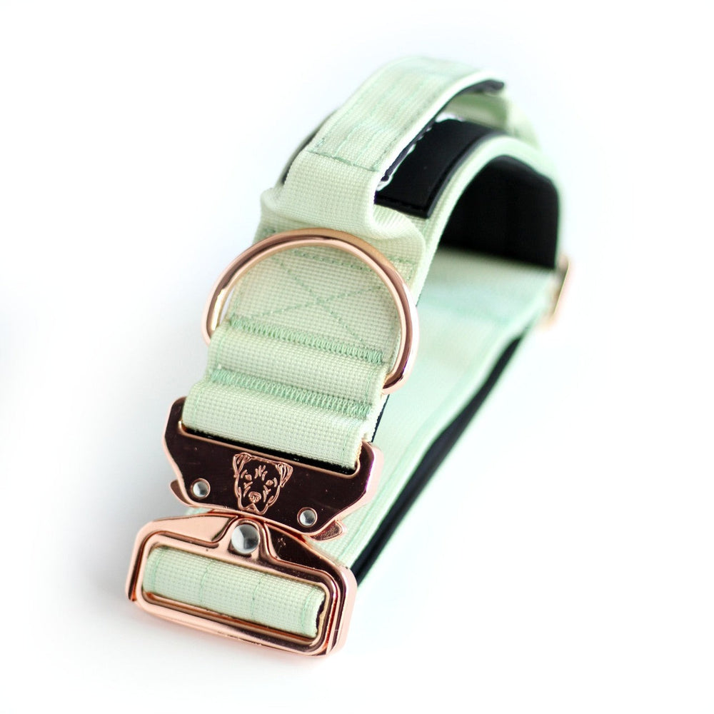 
                  
                    Load image into Gallery viewer, 2&amp;quot; Tacti Luxe Dog Collar - Rose Gold - Honeydew
                  
                