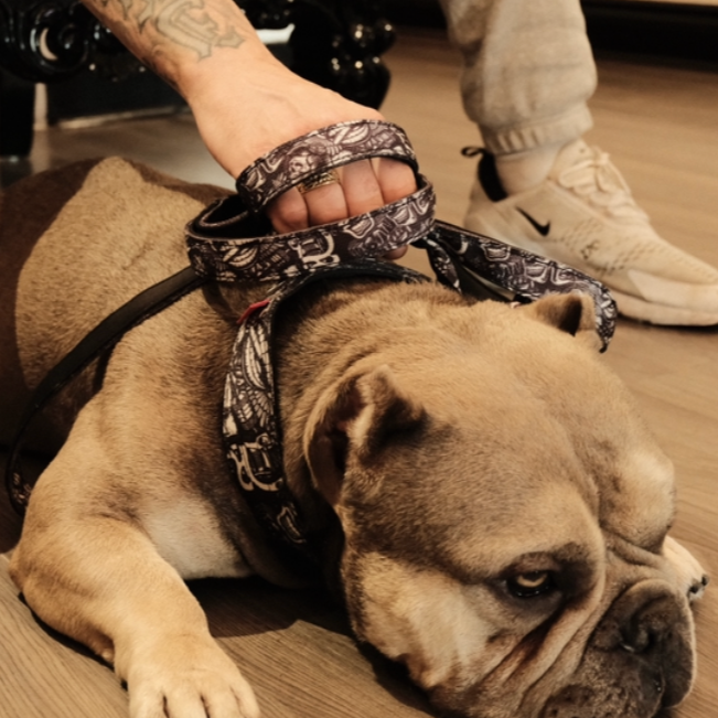 Tacti Dog Leash - Tattoo